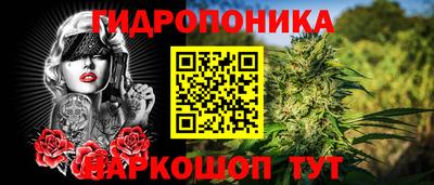 сатива Ливны