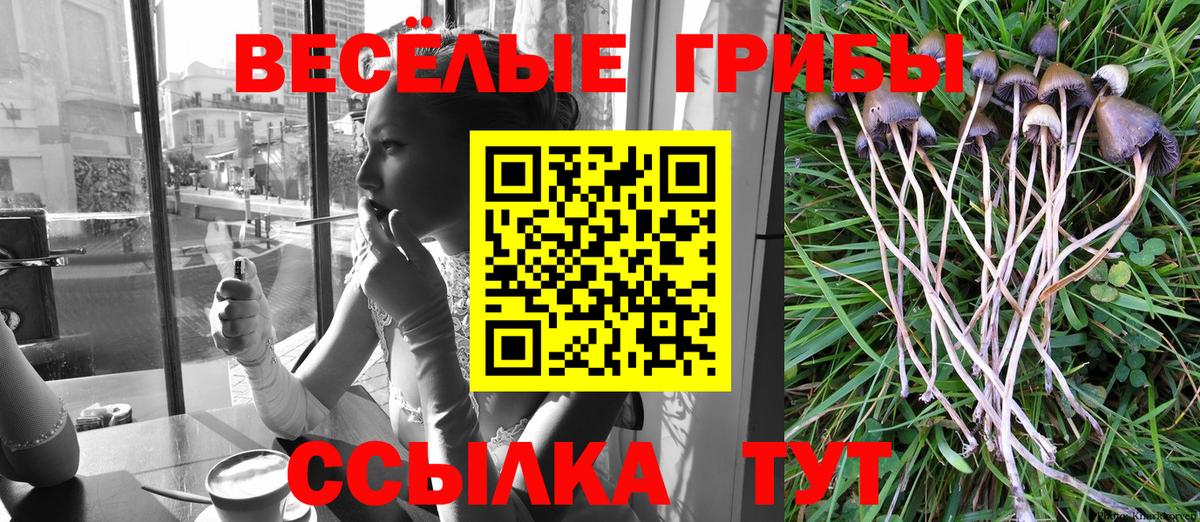 Галлюциногенные грибы MAGIC MUSHROOMS  Вход с VPN  Галлюциногенные грибы прущие грибы  Усть-Илимск 